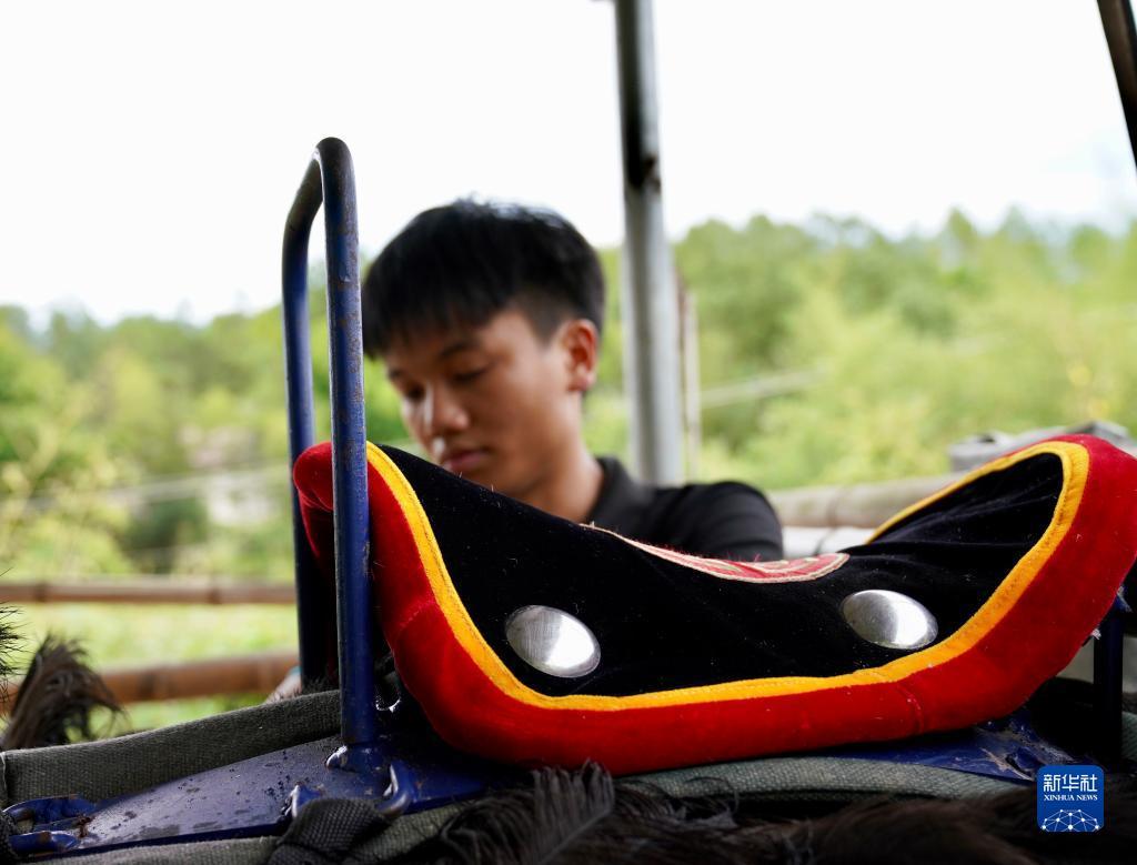 狮子机怎么压分能赢
